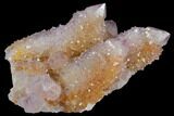 Cactus Quartz (Amethyst) Crystal Cluster - South Africa #132515-1